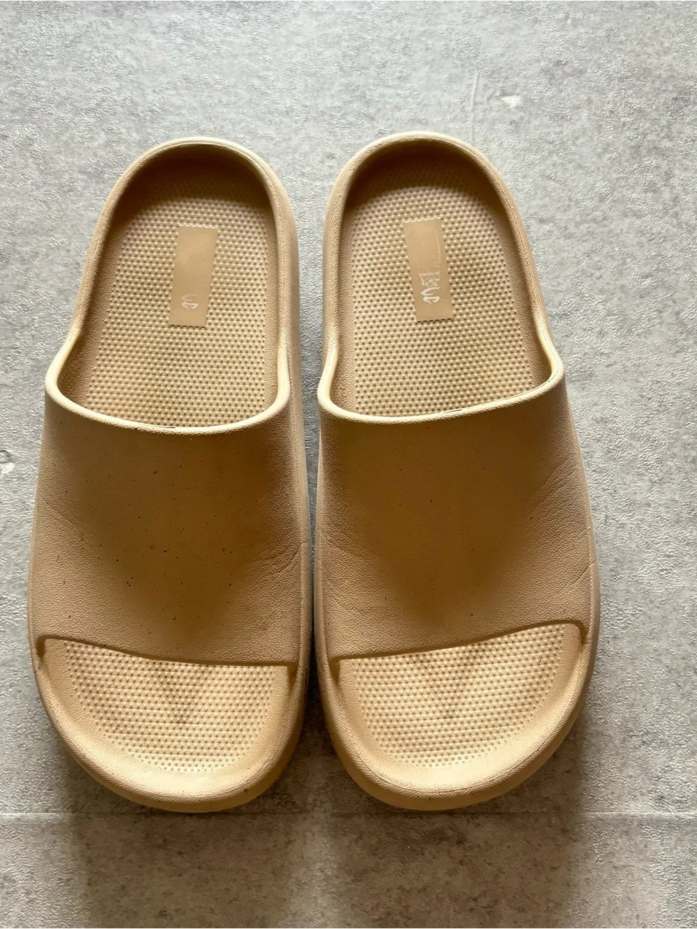 Tan slides